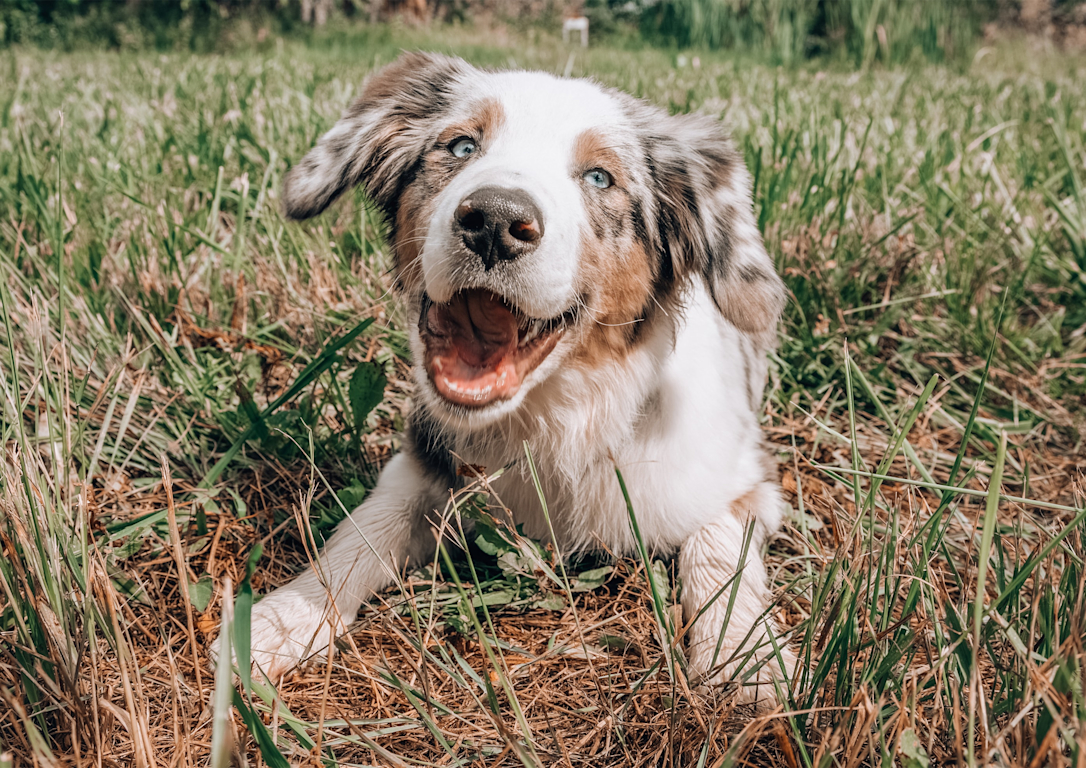 https://unsplash.com/photos/ua3Jr7g6KJA