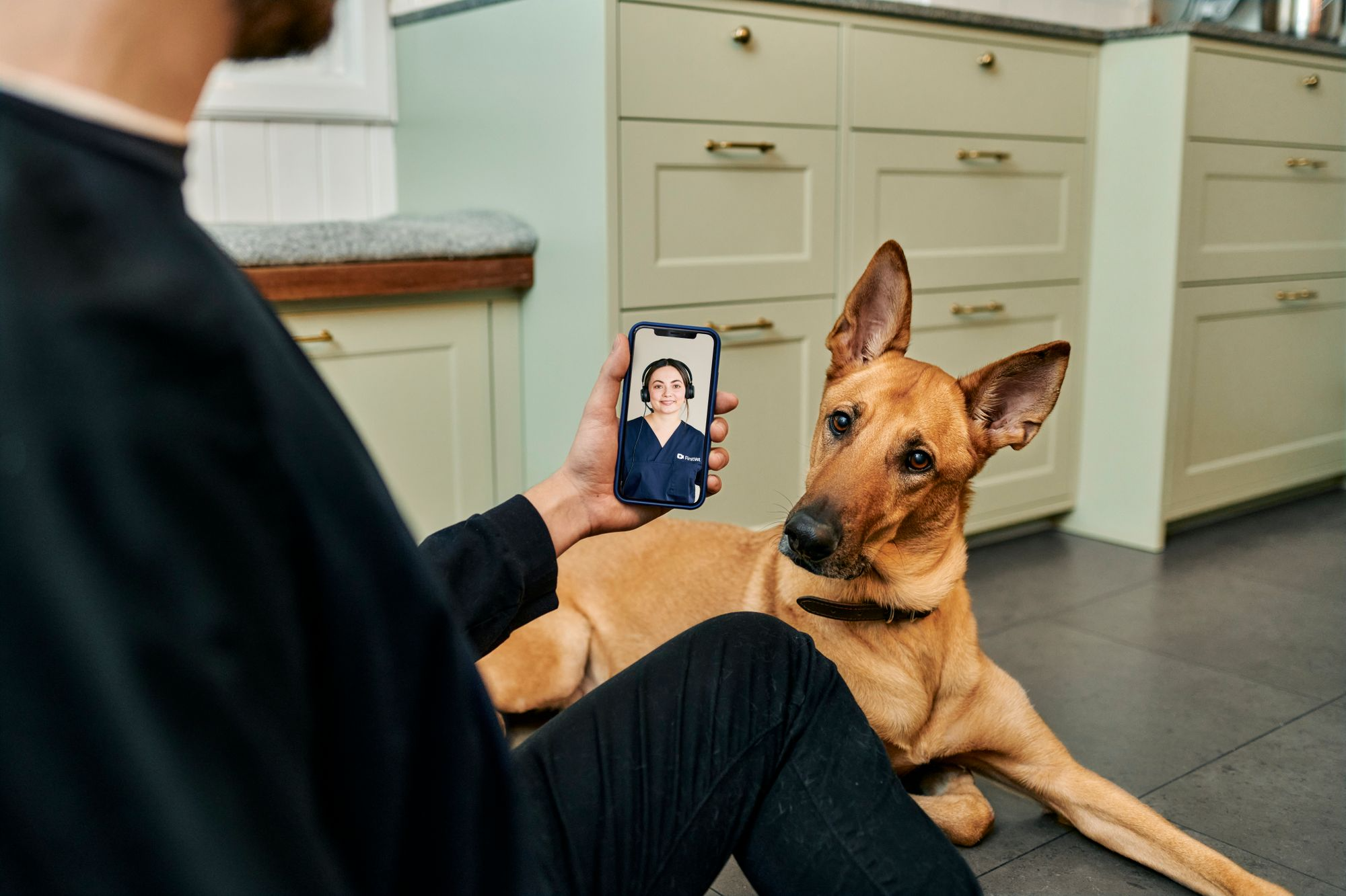 Unlimited calls to online vets