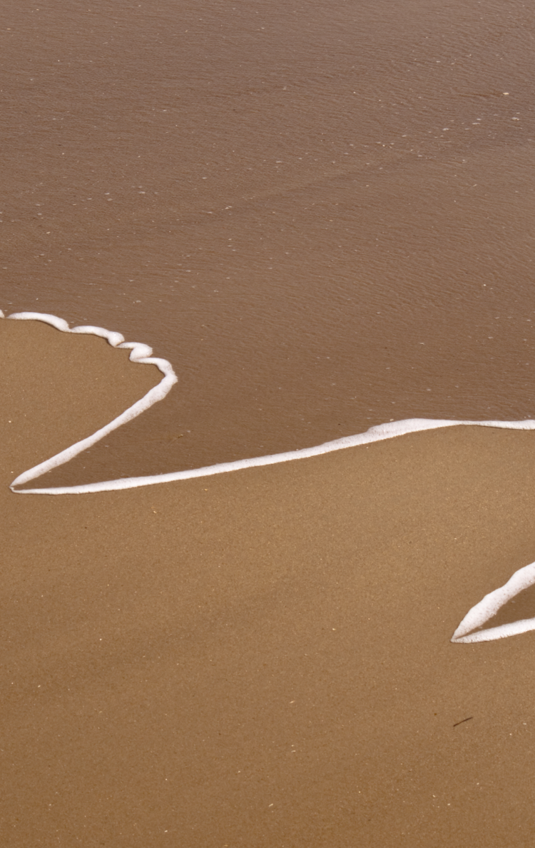 a sandy beach with a wave imprint that looks like a graph.