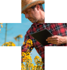 Plus shaped image of man in hat in a field holding a tablet