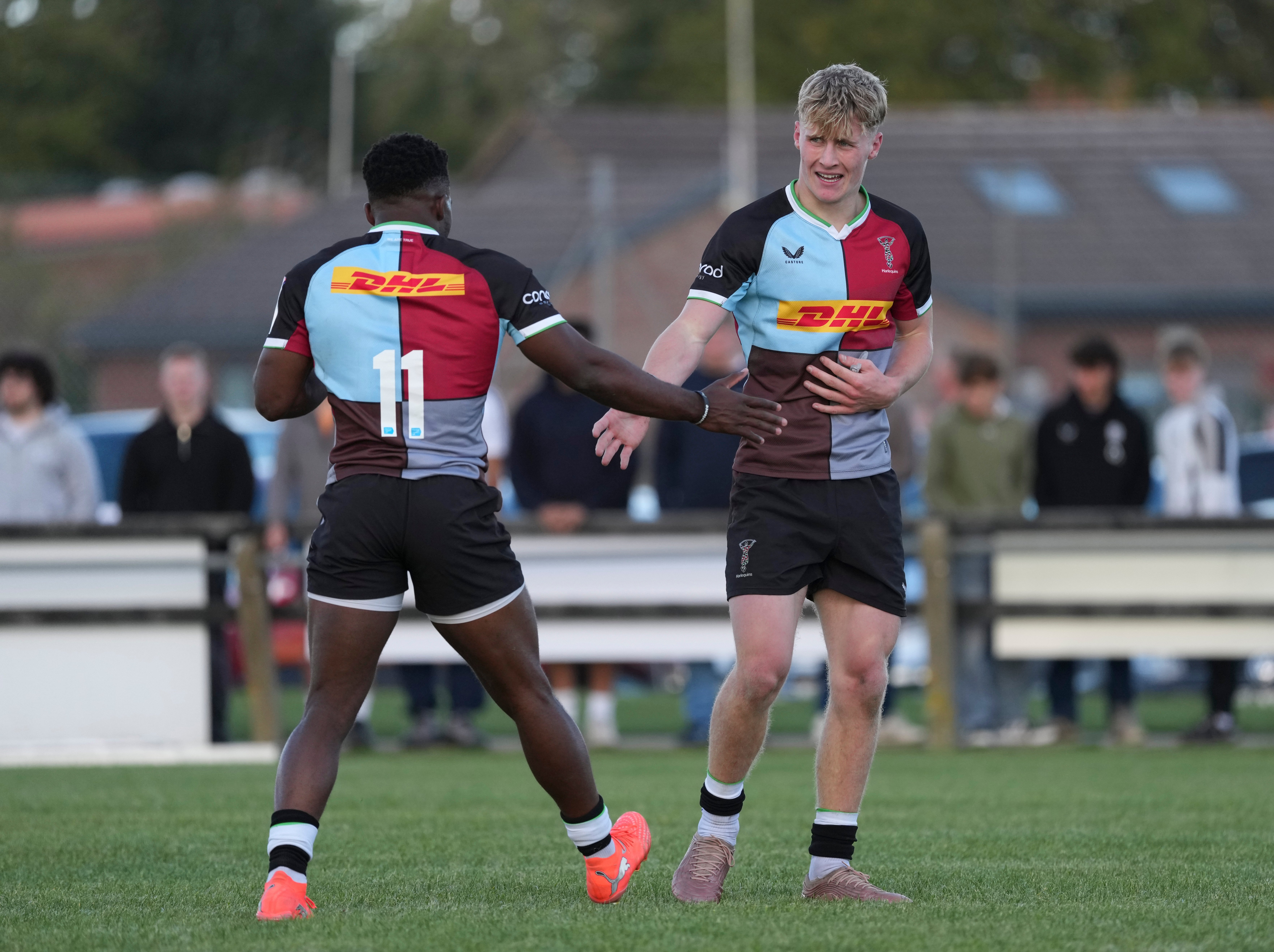 Team News: Jesters squad to face Sharks | Harlequins FC