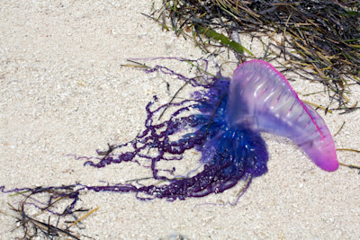 Mark Kostich / iStock / Getty Images Plus / via Getty Images