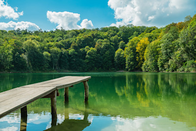 Jan Wagner / iStock / Getty Images Plus / via Getty Images
