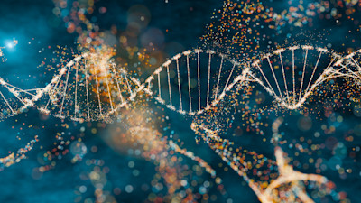 Crédits : TanyaJoy  - n° : 2148703240 - iStock / Getty Images Plus
