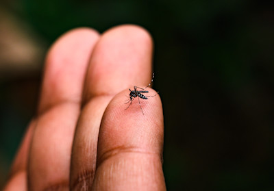 Soumyabrata Roy / iStock / Getty Images Plus / via Getty Images