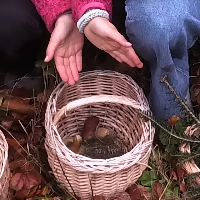 10. SKV-Turntrainingscamp