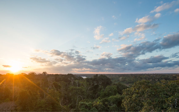 SeedsofChange Inititive 1