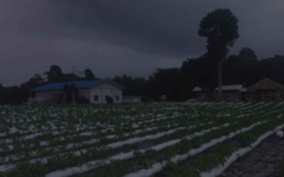 Plympton Farms hero image