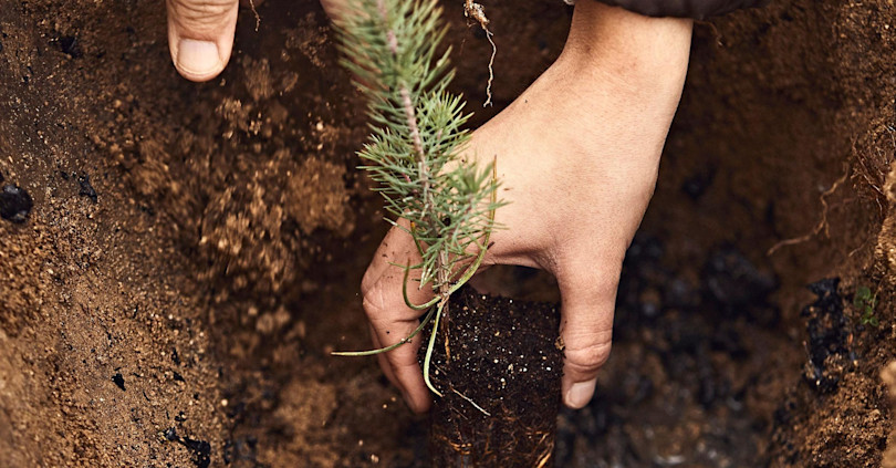 Land Life Company Header Image