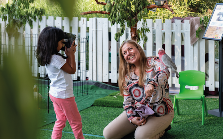 Harvest festival 1.1