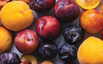 Spinneys-Retail-1440x900