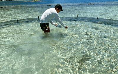 GI Tahiti Marine Products 1440x900 64