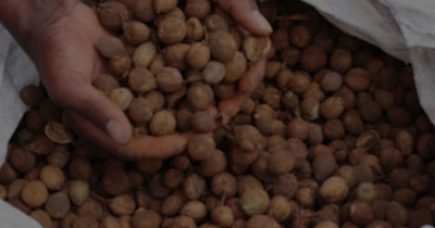 expo2020-expolive-excofuelskenya-background