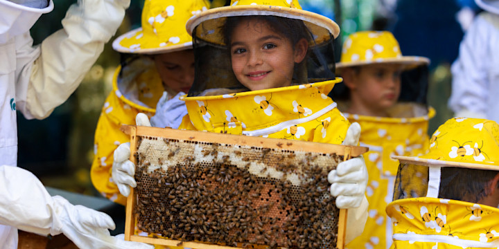 Bee Scientist Kids Program