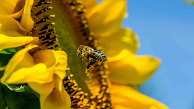 Public-Planet Partnerships hero image