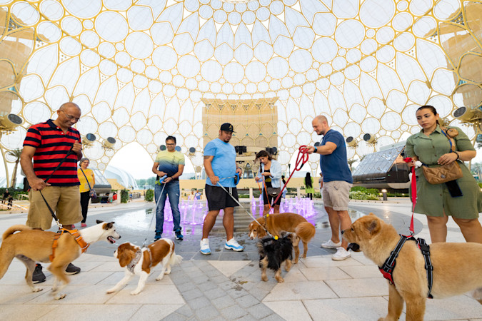 20221022 Expo Dogs O-10