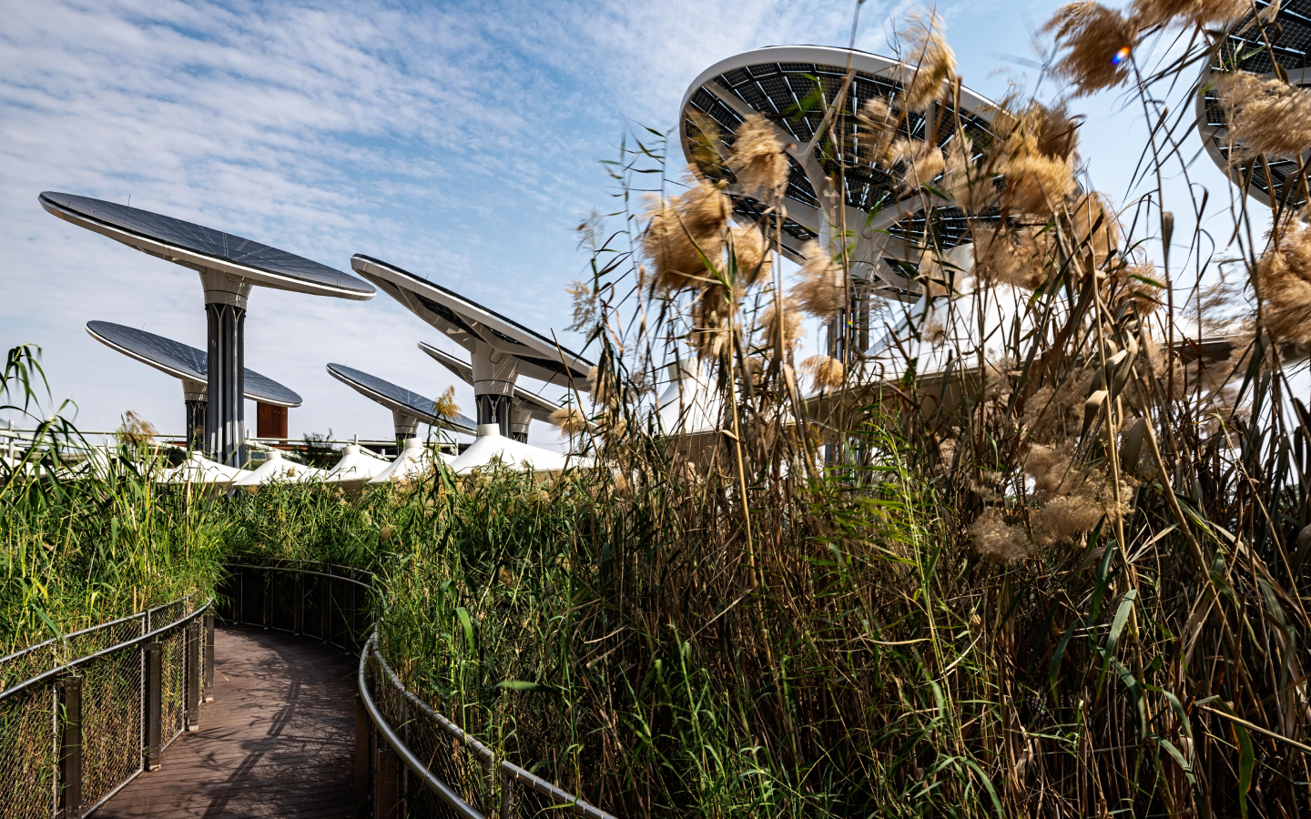 Terra ― The Sustainability Pavilion Expo 2020 Dubai – Projects – GRIMSHAW