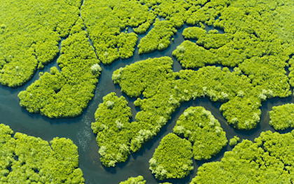 SeedsofChange images1