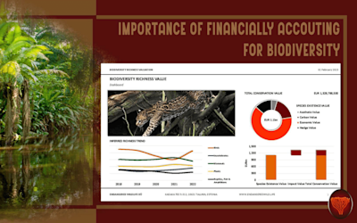GI Endangered Wildlife OU 1440x900 7