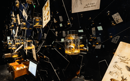 Vision Pavilion Internal Vision Pavilion Internal