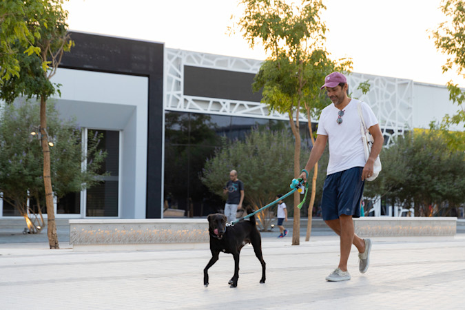 20221022 Expo Dogs O-1-1200x800-5b2df79