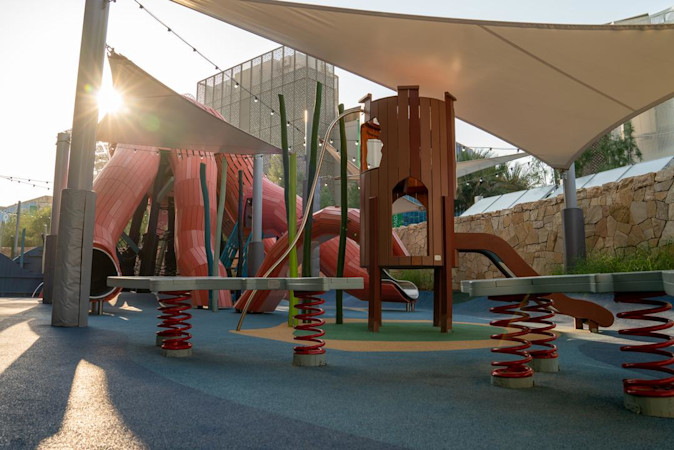 Octavia octopus playground before sunset