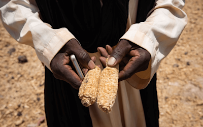 GI OKO weather index insurance 1440x900 74