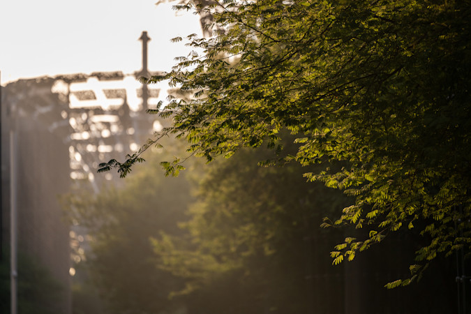 250115-SS1 3587-L-1201x800-5b2df79