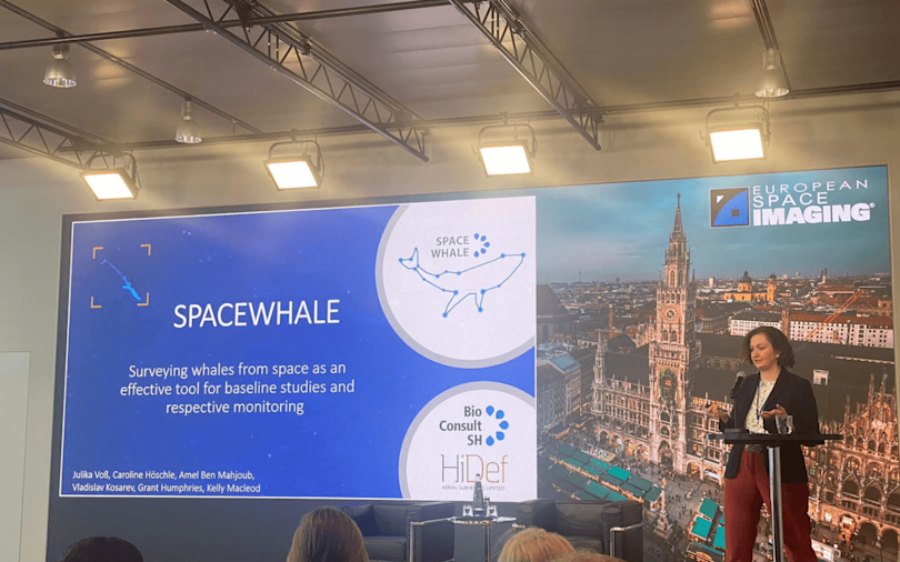  GI BioConsult SH 1440x900 2