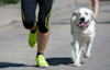 Dog on a leash and owner running