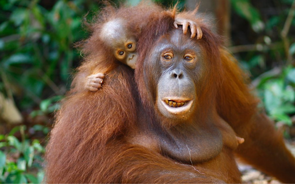 SeedsofChange Inititive 2