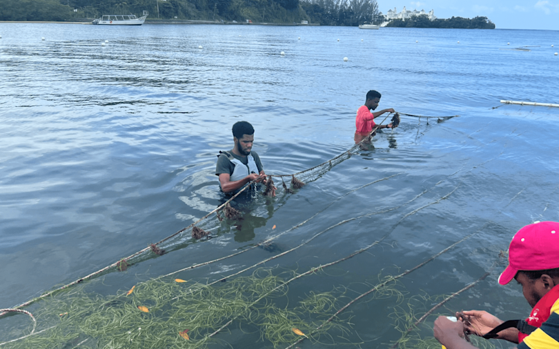  GI Kee Farms 1440x900 58