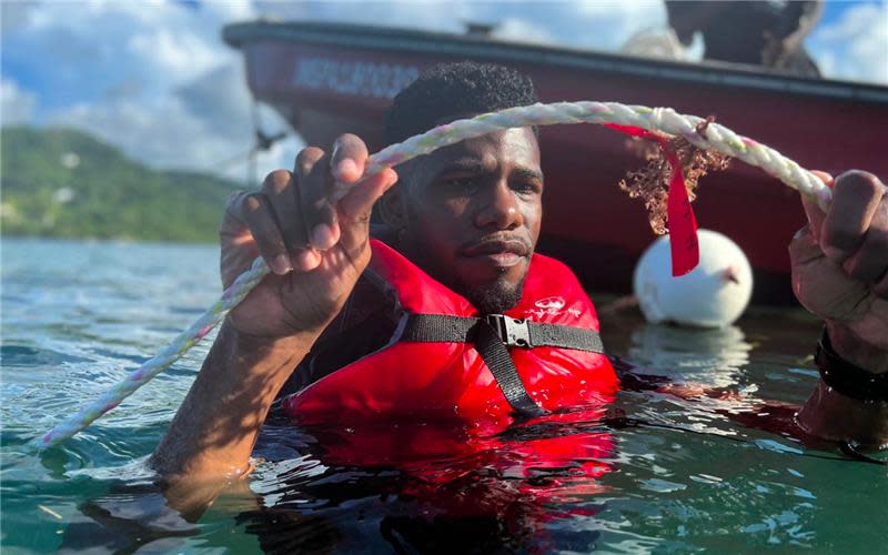  GI Kee Farms 1440x900 4