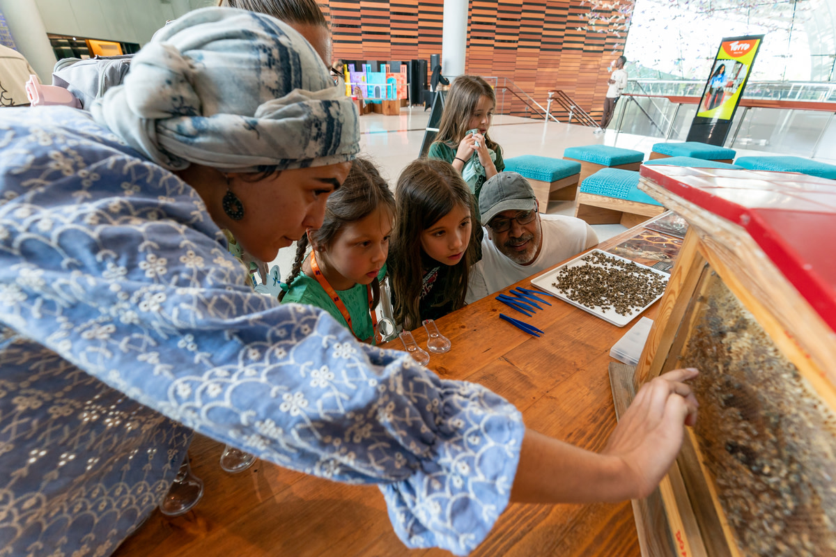 230520- SS27731-O-1200x800-5b2df79