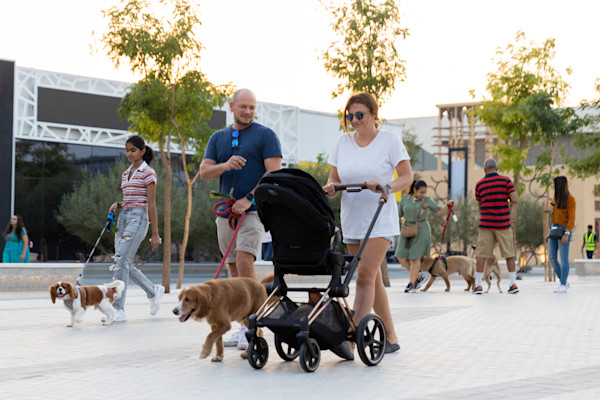 20221022 Expo Dogs O-2