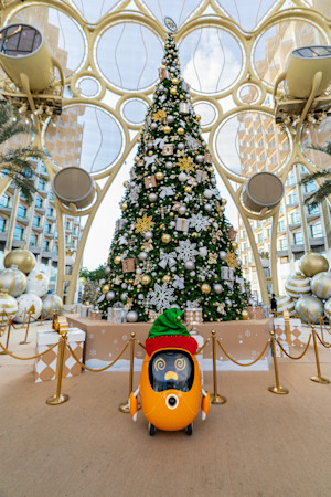 A929450-L-800x1201-cb6eae5