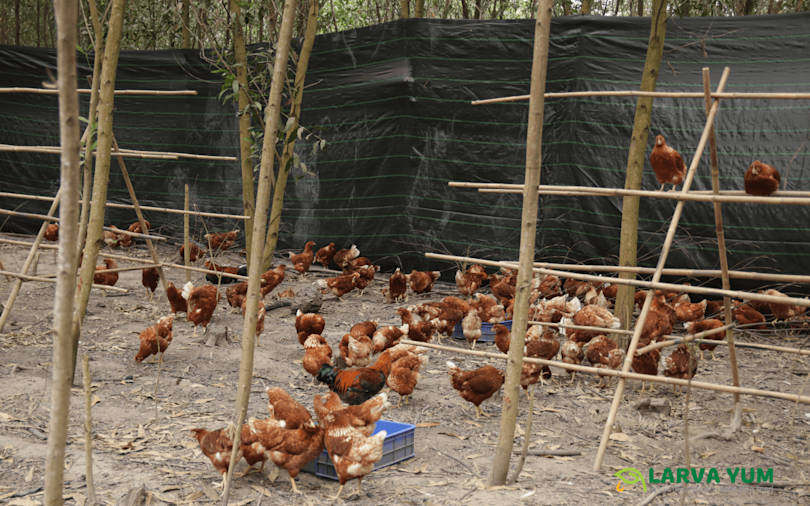  GI Green Connect SJC 1440x900 41