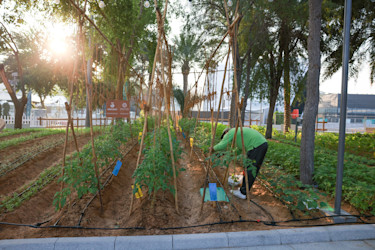 COP28 AD1 231203 07561800