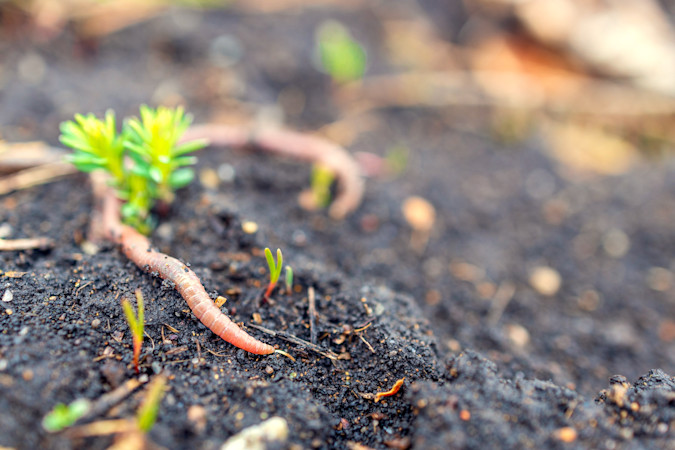 AdobeStock 463237556