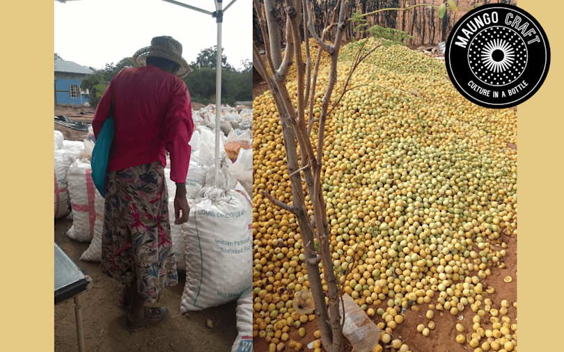  GI Maungo Craft 1440x900 23