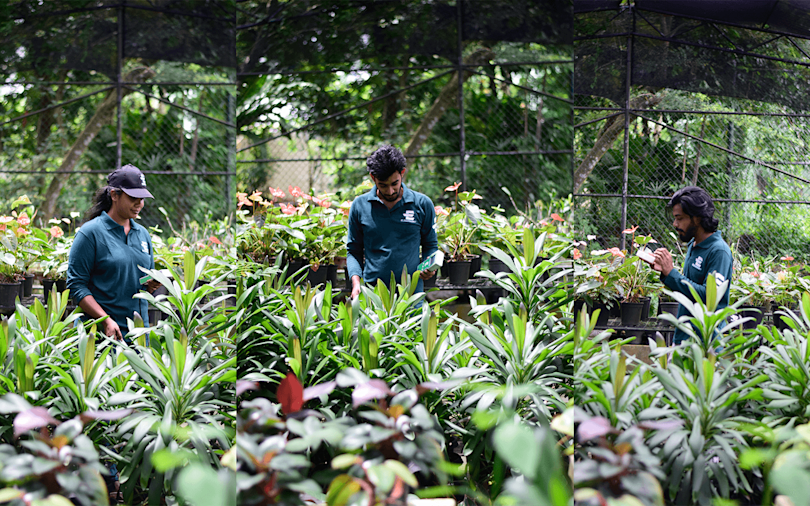  GI ELZIAN AGRO 1440x900 51