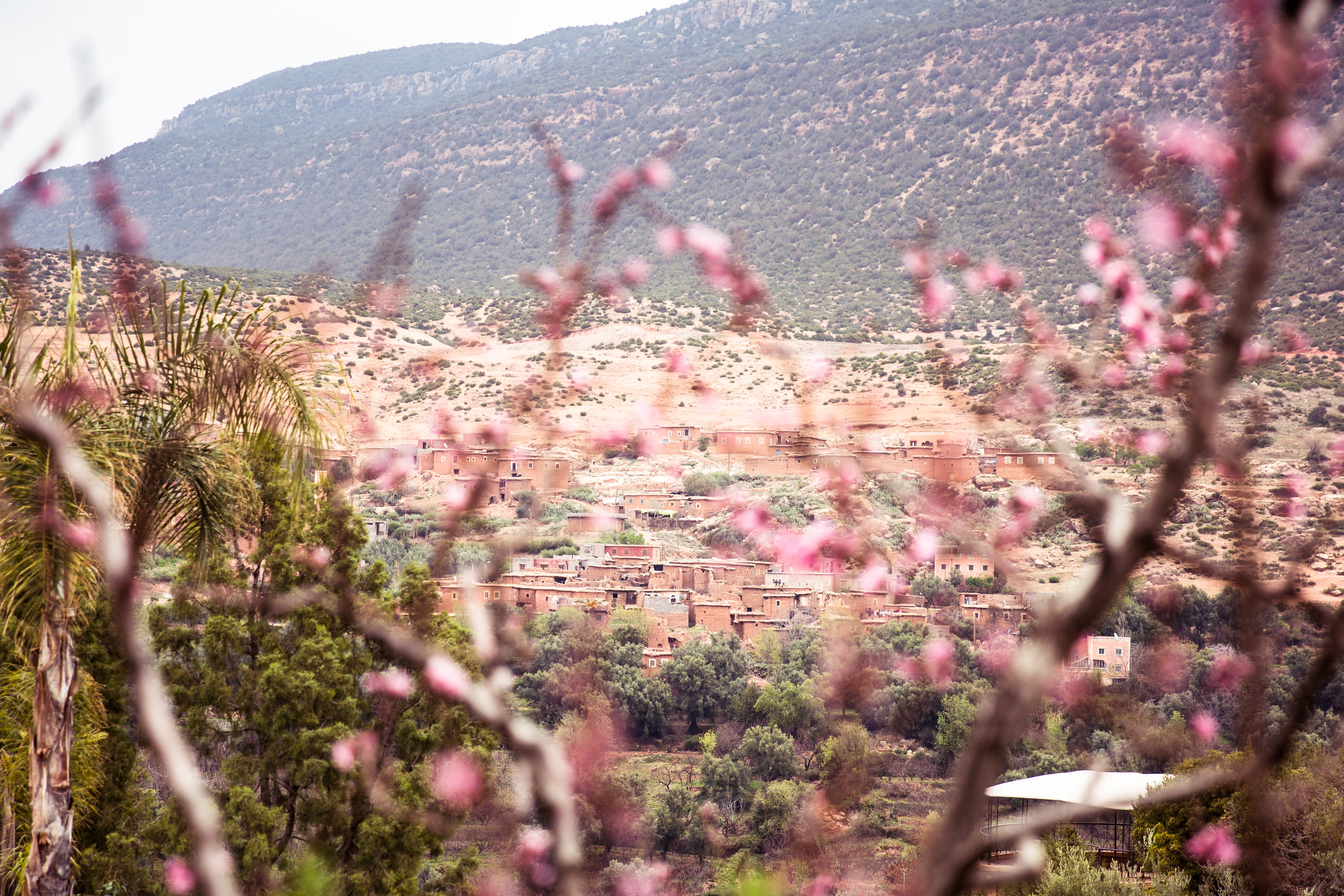 Asni Valley in Spring.JPG