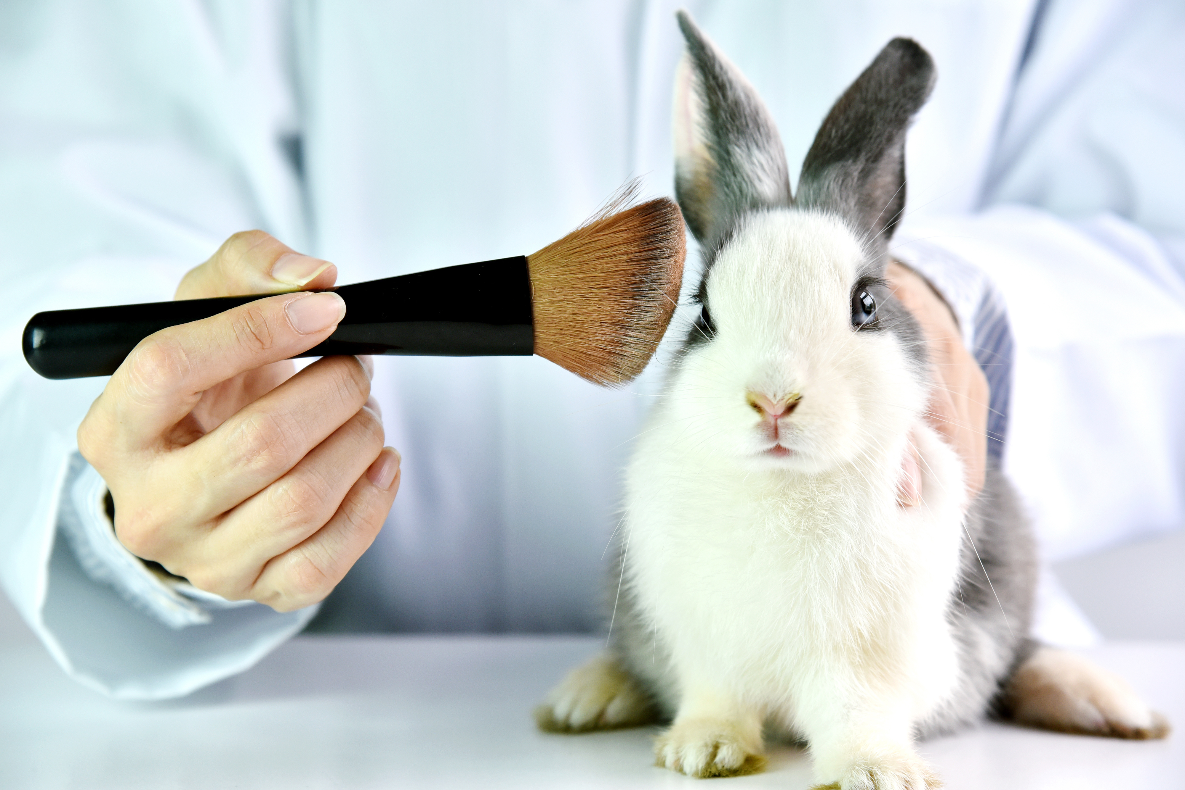 animal testing