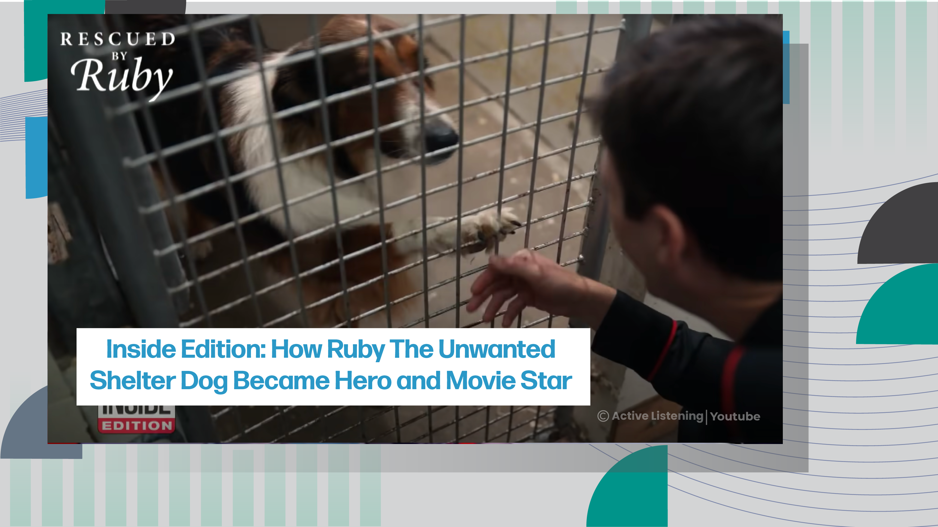 [C] Inside Edition: How Ruby the Unwanted Shelter Dog Became Hero and Movie Star