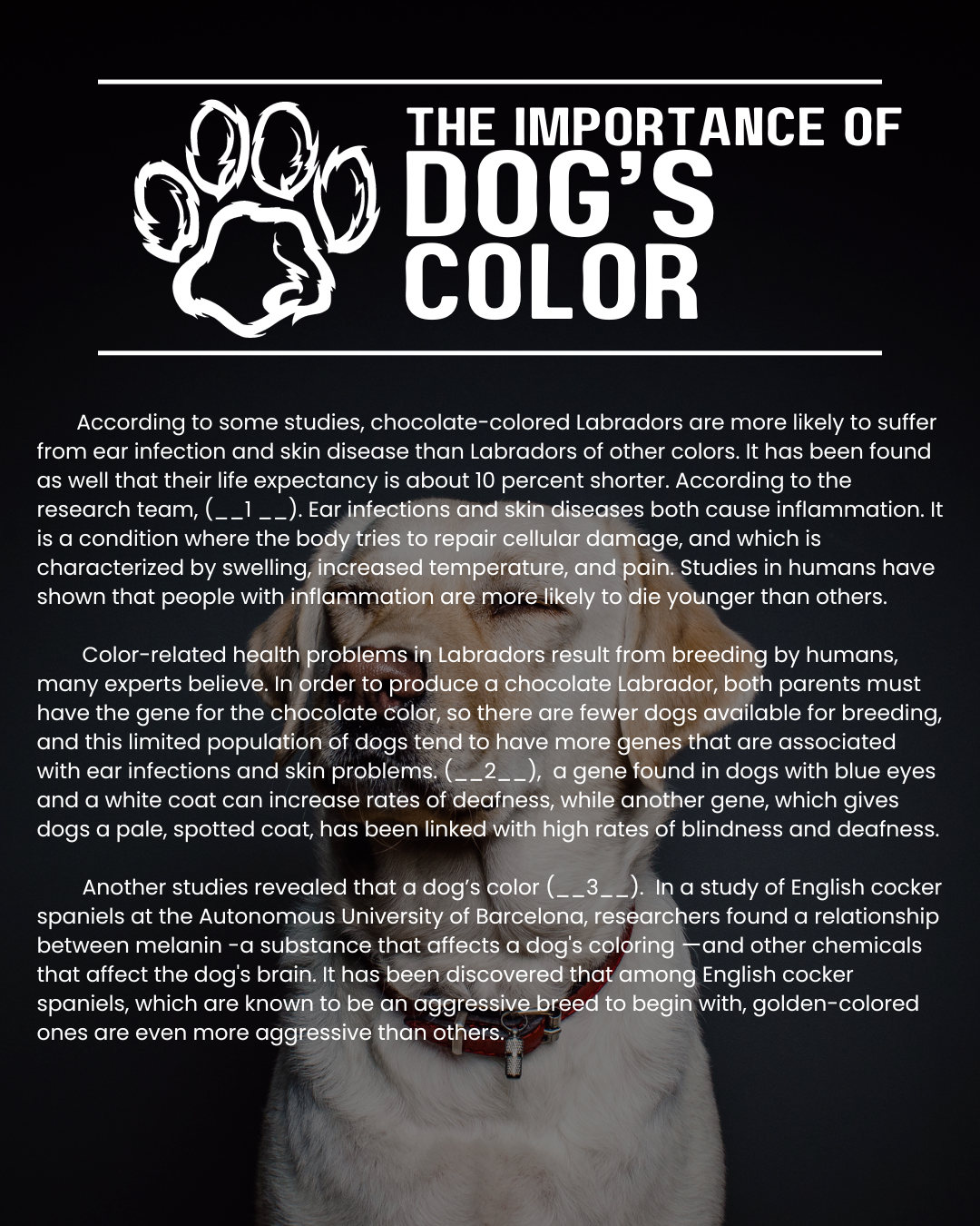 2024-EIKEN-READING L4