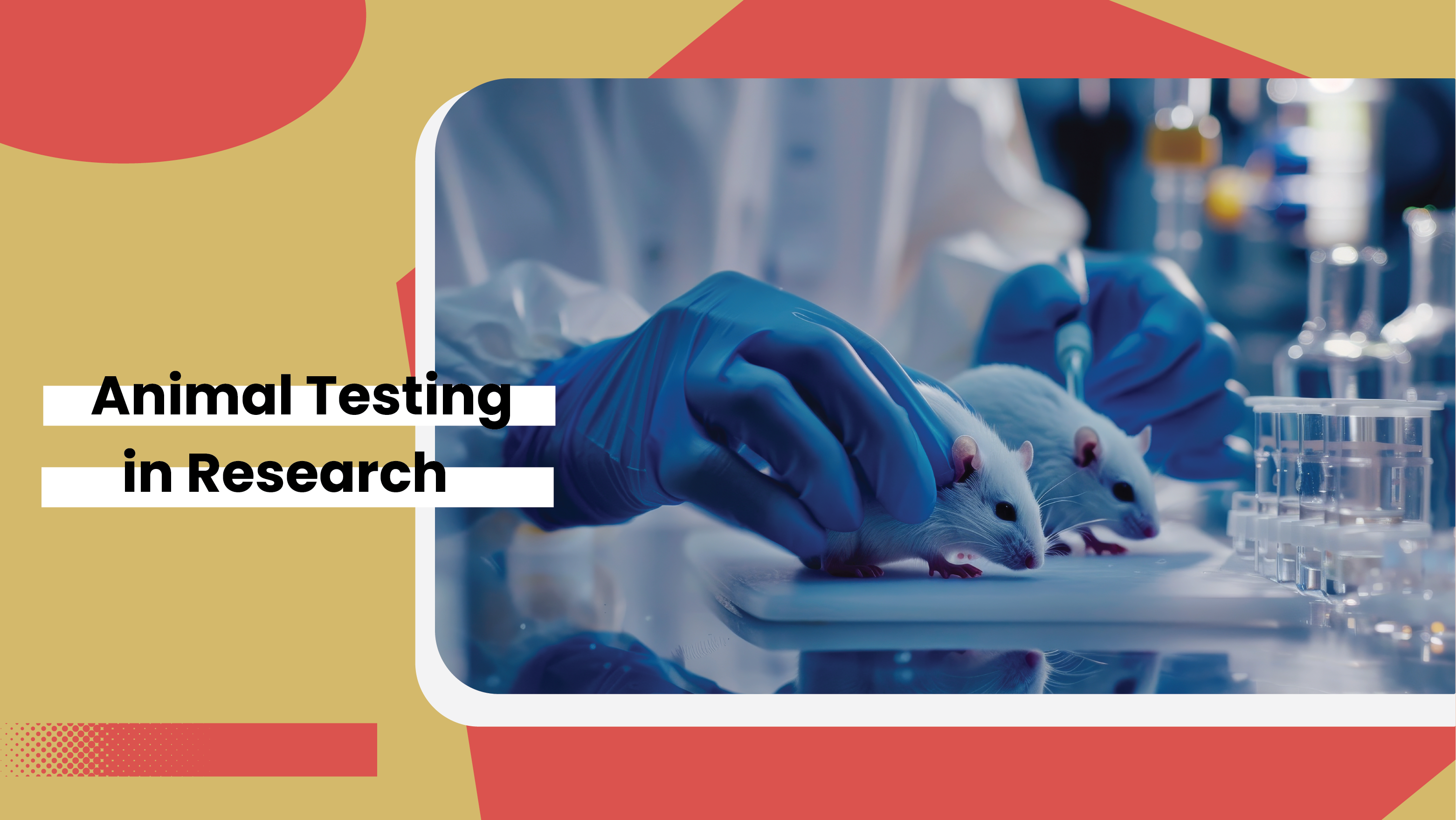 Animal Testing in Research