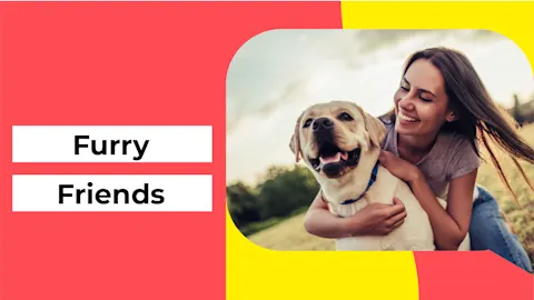 Furry Friends 