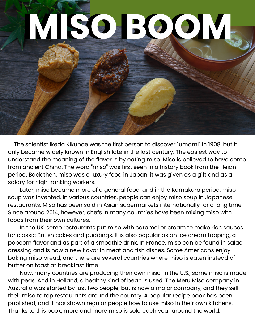 2024-RE-THE MISO BOOM