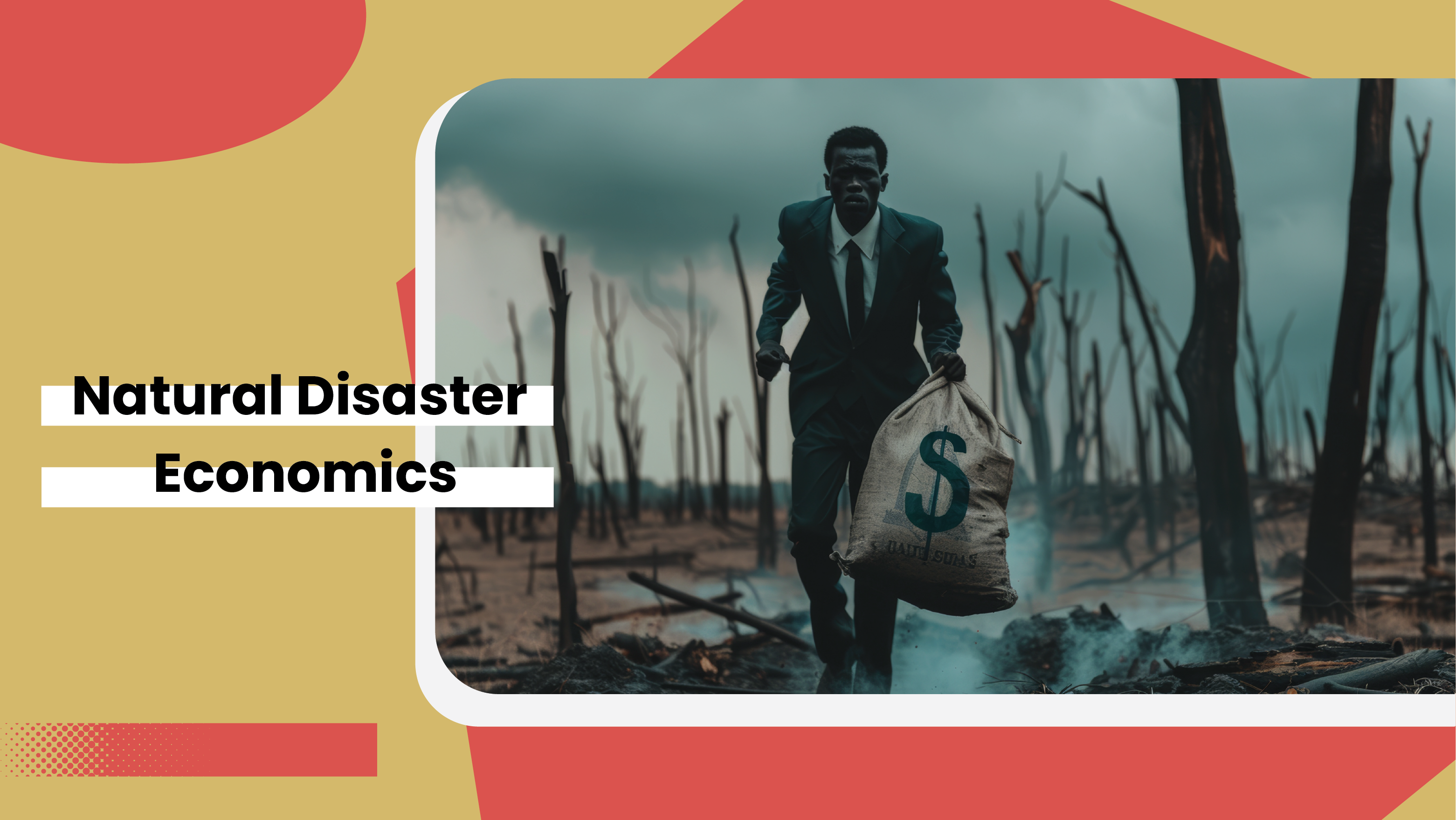 Natural Disaster Economics