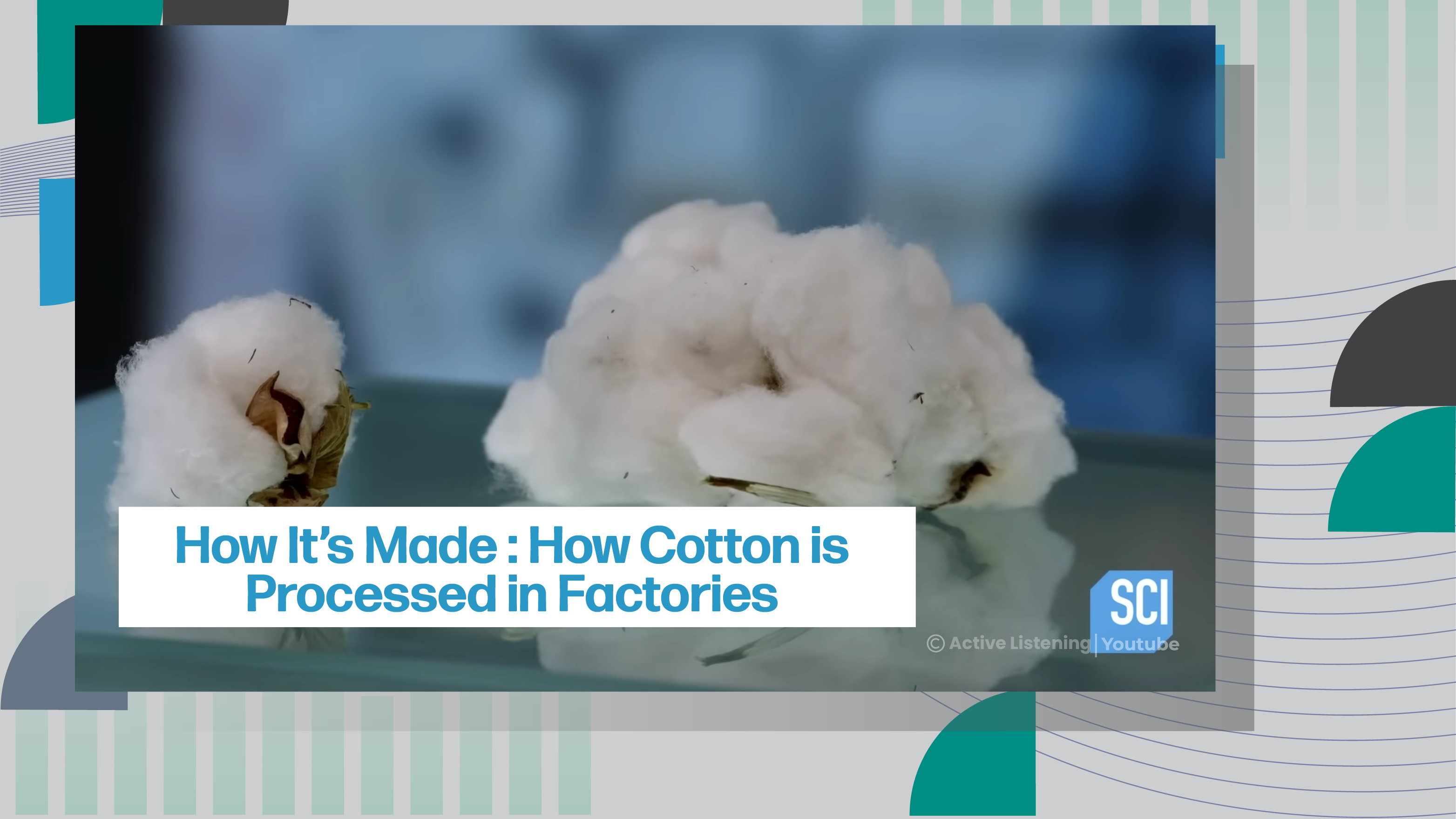 [C] How Cotton is Processed in Factories